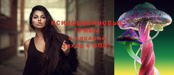 первитин Бородино